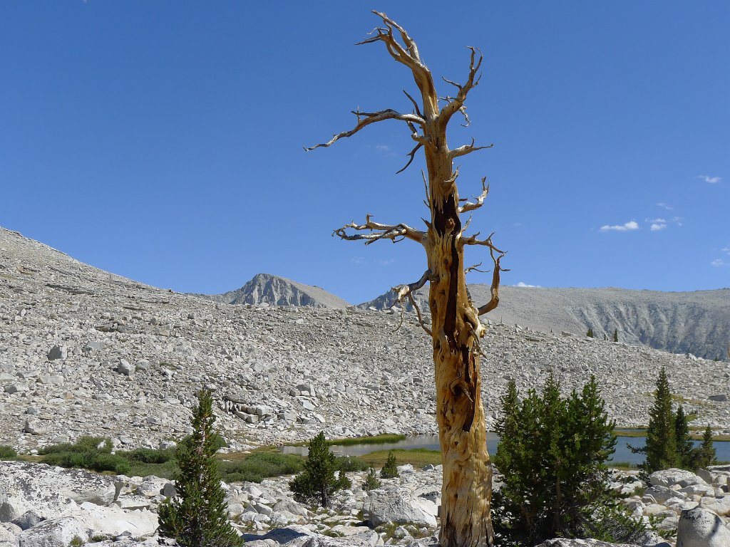SouthernSierra 430